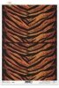 skóra, tygrysa, tygrys, R081, tiger, skin, piel de tigre , Tigerhaut